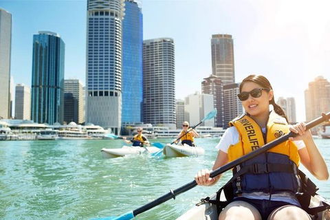 Brisbane Kayak Tour - Hotel Accommodation 5