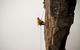 100 Metre Abseil Mount Wellington Hobart - thumb 0