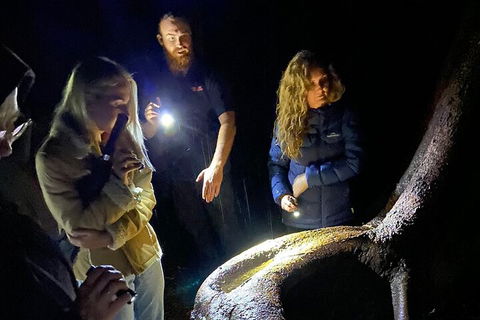 Evening Rainforest & Glow Worm Experience - Hotel Accommodation 2