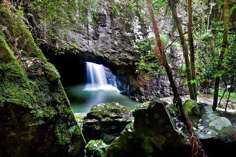 Natural Bridge & Springbrook Waterfalls Tour + Hot Air Balloon With Breakfast - Hotel Accommodation 4