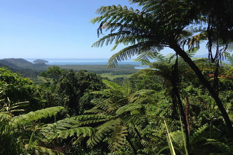 Daintree And Cape Tribulation Full Day Guided Tour - Hotel Accommodation 2