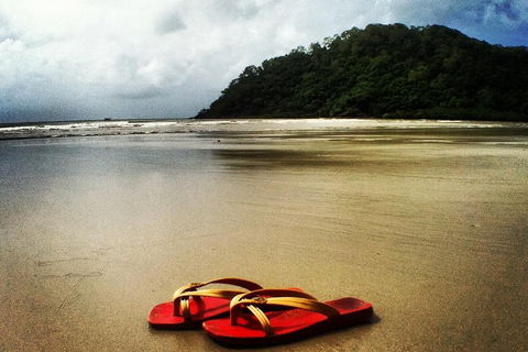 Daintree And Cape Tribulation Full Day Guided Tour - Hotel Accommodation 4