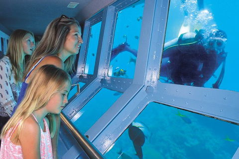Quicksilver Outer Great Barrier Reef Snorkel Cruise From Palm Cove - Hotel Accommodation 0