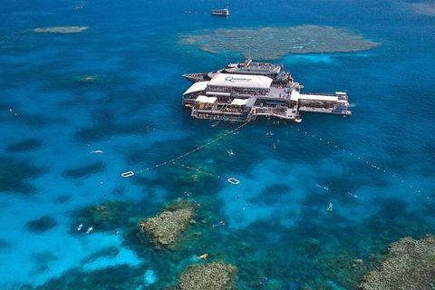 Quicksilver Outer Great Barrier Reef Snorkel Cruise From Palm Cove - Hotel Accommodation 1