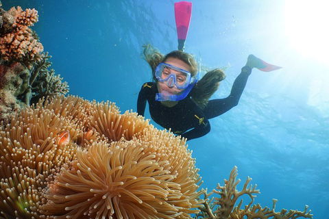 Quicksilver Outer Great Barrier Reef Snorkel Cruise From Palm Cove - Hotel Accommodation 2