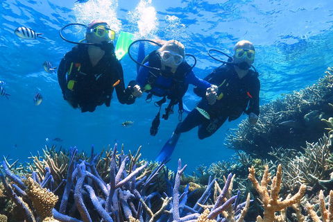 Quicksilver Outer Great Barrier Reef Snorkel Cruise From Palm Cove - Hotel Accommodation 3