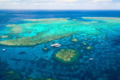 Quicksilver Outer Great Barrier Reef Snorkel Cruise From Palm Cove - Hotel Accommodation 4
