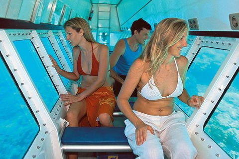 Quicksilver Outer Great Barrier Reef Snorkel Cruise From Palm Cove - Hotel Accommodation 5