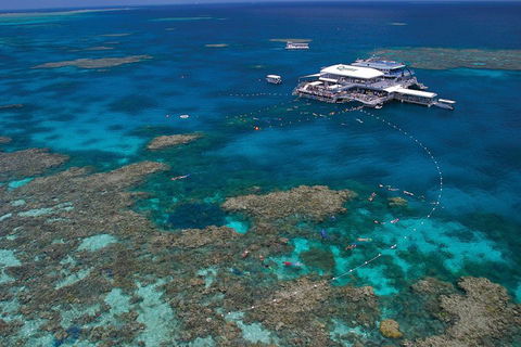 Quicksilver Outer Great Barrier Reef Snorkel Cruise From Port Douglas - Hotel Accommodation 3