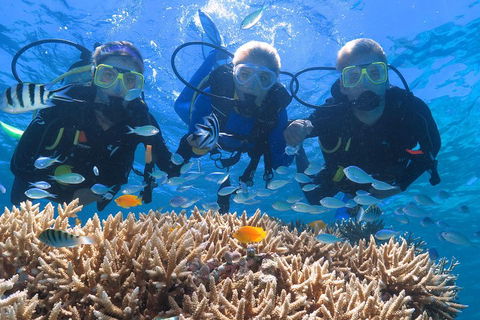 Quicksilver Outer Great Barrier Reef Snorkel Cruise From Port Douglas - Hotel Accommodation 4