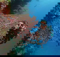 Silversonic Outer Great Barrier Reef Dive and Snorkel Cruise from Port Douglas - Hotel Accommodation