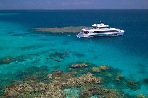 Silversonic Outer Great Barrier Reef Dive And Snorkel Cruise From Port Douglas - Hotel Accommodation 2