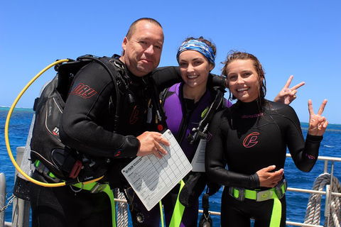Quicksilver Dive 4 Day PADI Learn To Dive Course - Hotel Accommodation 0