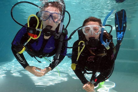 Quicksilver Dive 4 Day PADI Learn To Dive Course - Hotel Accommodation 2
