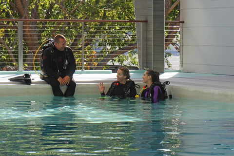Quicksilver Dive 4 Day PADI Learn To Dive Course - Hotel Accommodation 3