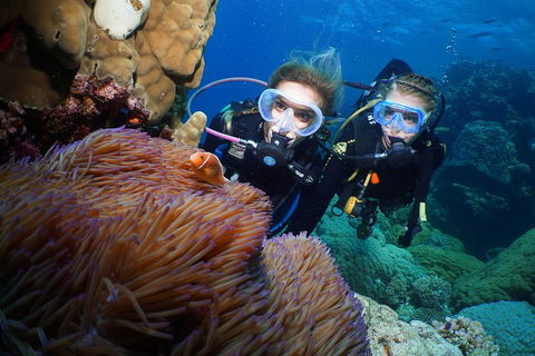 Quicksilver Dive 4 Day PADI Learn To Dive Course - Hotel Accommodation 4