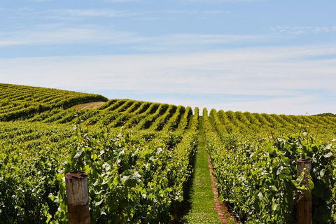 West Tamar Wine Tour - Hotel Accommodation 2