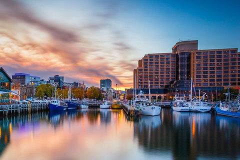 Hobart City And Surroundings Private Charter Service - Hotel Accommodation 0