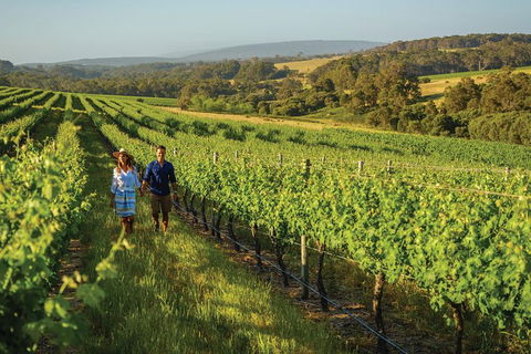 6 Days Perth All-Inclusive Touring Package With Wildflowers ( Seasonal) - Hotel Accommodation 4