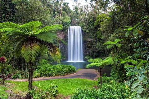 Cairns & Port Douglas All-Inclusive 7 Days Touring Package - Hotel Accommodation 2