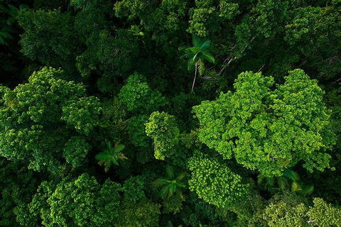 Cairns & Port Douglas All-Inclusive 7 Days Touring Package - Hotel Accommodation 4