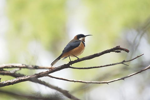 Private Blue Mountains Insider Tour From Sydney - Hotel Accommodation 2