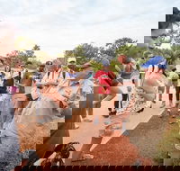 Uluru Kata Tjuta and Kings Canyon Camping Safari from Ayers Rock - Hotel Accommodation