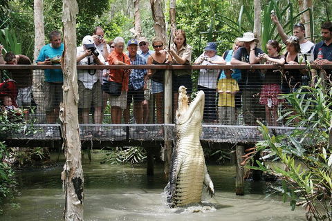 Hartley's Crocodile Adventure Half-Day Tour - Hotel Accommodation 1