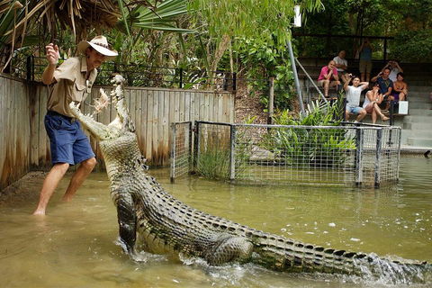 Hartley's Crocodile Adventure Half-Day Tour - Hotel Accommodation 2