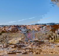 The Amazing Kings Canyon 4-Hours Walking Tour and Hike - Hotel Accommodation