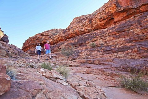 The Amazing Kings Canyon: 4-Hours Walking Tour And Hike - Hotel Accommodation 5