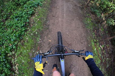 Explore Downhill Mountain In 3-Hour Bike Tour From Hobart - Hotel Accommodation 2