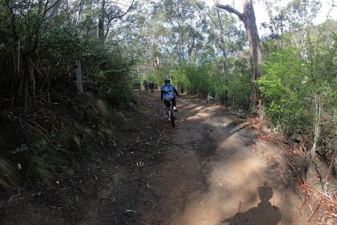 Explore Downhill Mountain In 3-Hour Bike Tour From Hobart - Hotel Accommodation 3