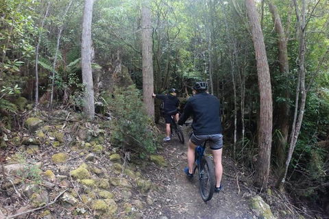 Explore Downhill Mountain In 3-Hour Bike Tour From Hobart - Hotel Accommodation 4