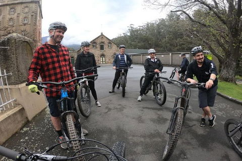 Explore Downhill Mountain In 3-Hour Bike Tour From Hobart - Hotel Accommodation 5