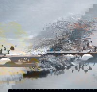 3.5 Hours Walking Tour to Cataract Gorge with Local Guide - Hotel Accommodation