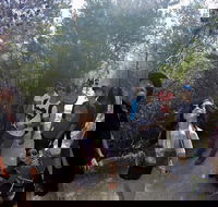 Active Day Tour One-Way from Launceston to Hobart via Wineglass Bay - Hotel Accommodation