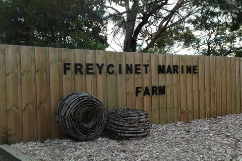 Active Day Tour One-Way From Launceston To Hobart Via Wineglass Bay - Hotel Accommodation 3