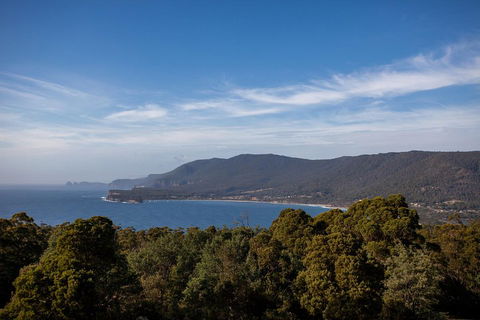 Port Arthur And Tassie Devils Active Day Tour From Hobart - Hotel Accommodation 5