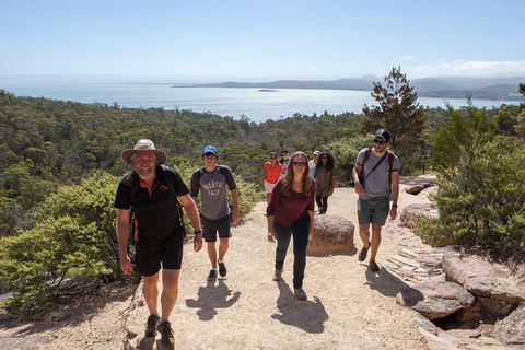 3-Day Tasmania Combo: Hobart To Launceston Active Tour - Hotel Accommodation 3