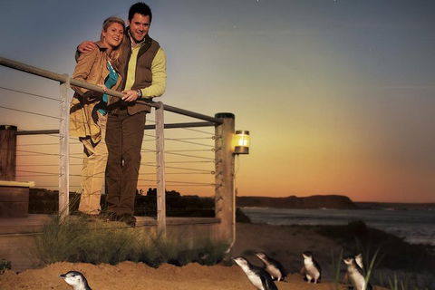 The Ultimate Melbourne Attractions Pass - Hotel Accommodation 3