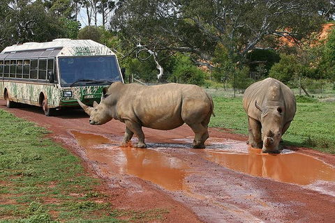 The Ultimate Melbourne Attractions Pass - Hotel Accommodation 4