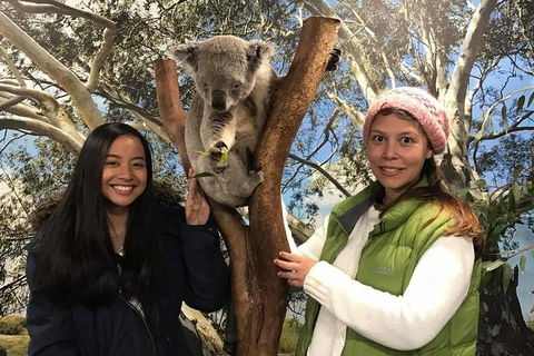 The Ultimate Sydney Attractions Pass - Hotel Accommodation 1