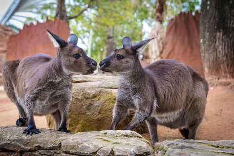 The Ultimate Sydney Attractions Pass - Hotel Accommodation 2