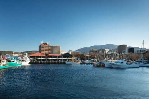 Hobart City Sightseeing Tour Including MONA Admission - Hotel Accommodation 0