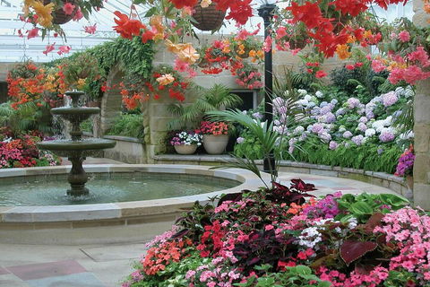 Hobart City Sightseeing Tour Including MONA Admission - Hotel Accommodation 3