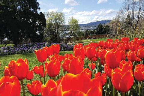 Hobart City Sightseeing Tour Including MONA Admission - Hotel Accommodation 4