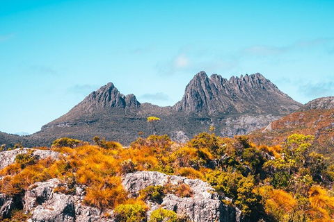 Cradle Mountain National Park Day Tour From Launceston - Hotel Accommodation 1