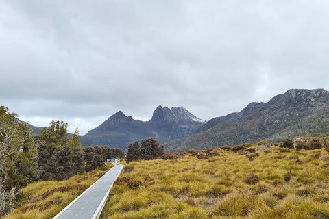 Cradle Mountain National Park Day Tour From Launceston - Hotel Accommodation 2