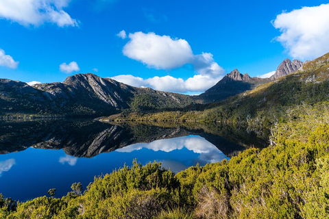 Cradle Mountain National Park Day Tour From Launceston - Hotel Accommodation 3